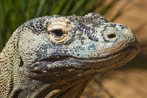 Meetup-Zoo_3-22-09-7237