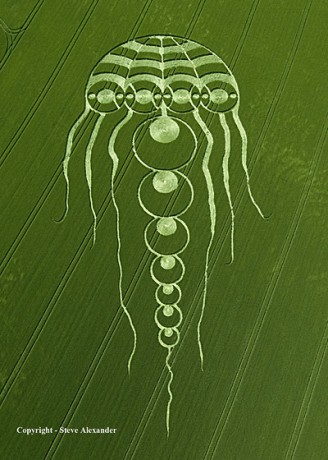cropcircle