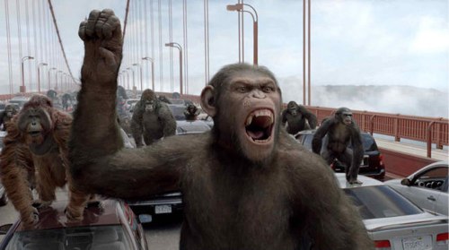 chimp attacks.jpg